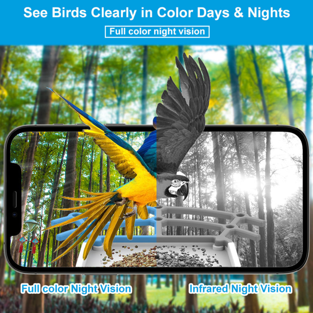 Bird Feeder Camera Outdoor Solar Roof Smart Video Device
