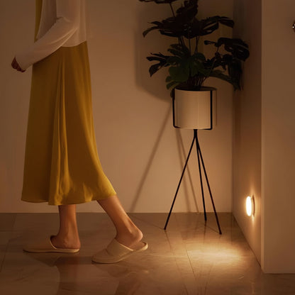 Motion Sensor Night Light Wireless LED Hallway Stairs Bedroom
