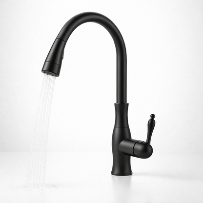 Kitchen Faucet Pull Out Metal Sink Tap Design