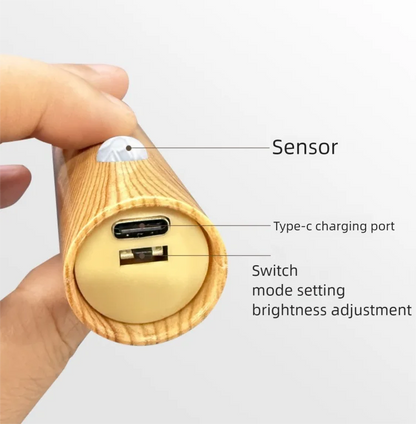 LED Night Light USB Charging Intelligent Human Induction