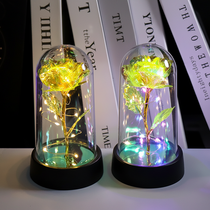 Rose Lamp LED Night Light Decorative Dome Gift