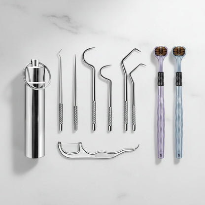 Toothpick Set Reusable Metal Toothpicks Travel Case