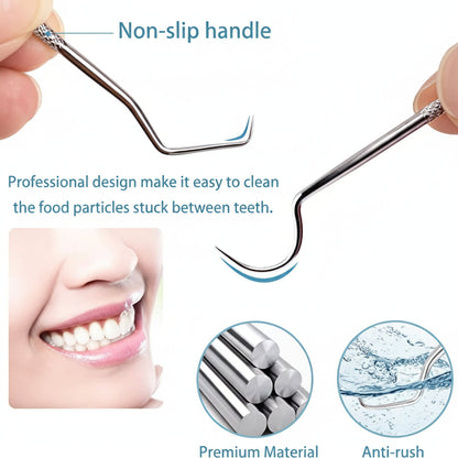 Toothpick Set Reusable Metal Toothpicks Travel Case