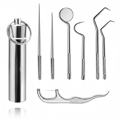 Toothpick Set Reusable Metal Toothpicks Travel Case