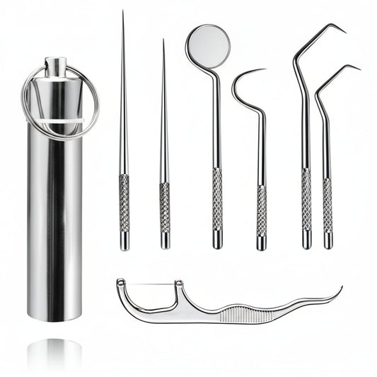 Toothpick Set Reusable Metal Toothpicks Travel Case