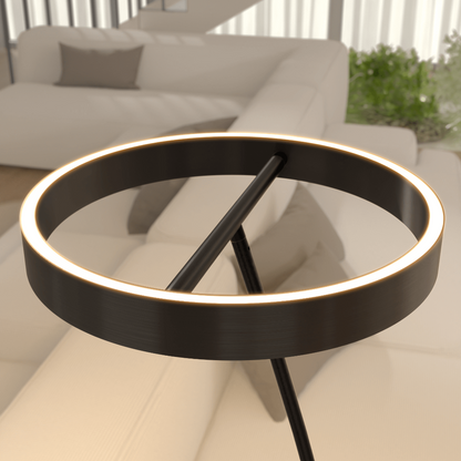 Floor Lamp LED Lighting Remote Control Adjustable Design