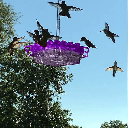 Hummingbird Feeder Hanging Bird Outdoor - Image 1