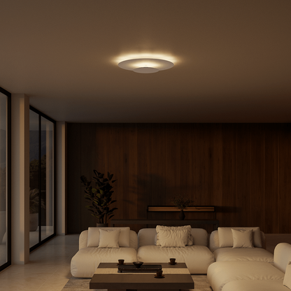 LED Lighting Flush Mount Ceiling Light Modern Design