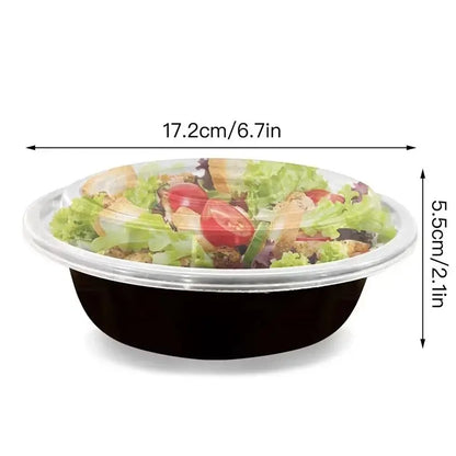 Food Storage Disposable Plastic Meal Boxes - 10 Pcs