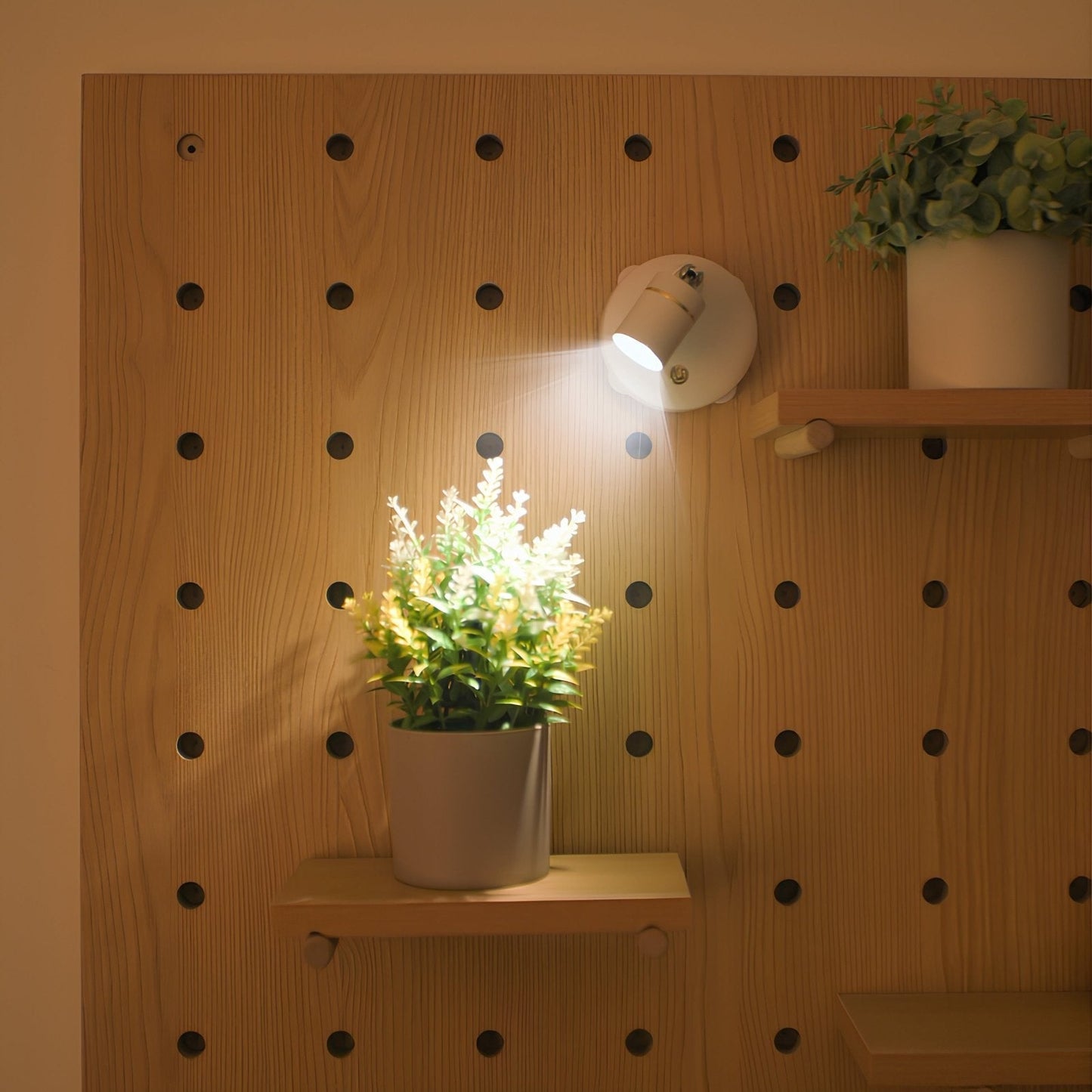 Wall Sconce Battery Operated Modern Adjustable LED Spotlight - Image 1